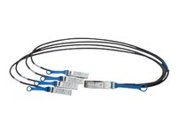 Intel Ethernet QSFP+ Breakout - Câble réseau - SFP+ pour QSFP+ - 5 m - SFF-8436 - pour Ethernet Converged Network Adapter X520-QDA1 X4DACBL5