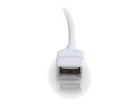 C2G - Rallonge de câble USB - USB (M) pour USB (F) - 3 m 81572
