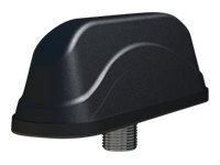 Panorama LGAM-7-27-24-58 - Antenne - navigation, cellulaire, Wi-Fi - 5 dBi - omni-directionnel - montable sur panneau LGAM-7-27-24-58