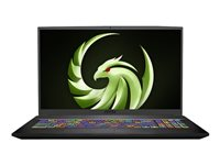 MSI Bravo 17 A4DDR-024FR - 17.3" - Ryzen 7 4800H - 16 Go RAM - 512 Go SSD 9S7-17FK12-024