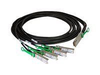 Intel - Câble à attache directe - QSFP28 pour SFP28 - 3 m - twinaxial - pour Ethernet Converged Network Adapter XXV710, XXV710-DA1; Ethernet Network Adapter XXV710-DA2 XXV4DACBL3M