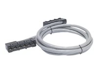 APC Data Distribution Cable - Câble réseau - Conformité TAA - RJ-45 (F) pour RJ-45 (F) - 13.7 m - UTP - CAT 5e - colonne montante - gris DDCC5E-045