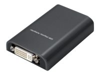 Uniformatic - Adaptateur vidéo externe - USB 2.0 - DVI 86321